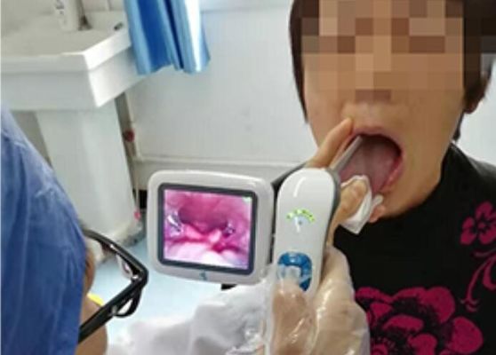 Ιατρικό ψηφιακό ΩΤΟΡΙΝΟΛΑΡΥΓΓΟΛΟΓΙΚΟ τηλεοπτικό Otoscopy ωτοσκοπίων επιθεώρησης φορητό με το όργανο ελέγχου 3 ίντσας LCD