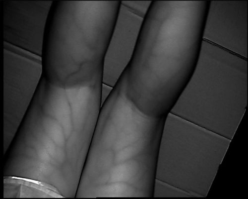 Συσκευή εντοπιστών φλεβών επιτραπέζιων τύπων υψηλής ανάλυσης 800X480 με την οθόνη 3.5Inch για το πόδι βραχιόνων χεριών