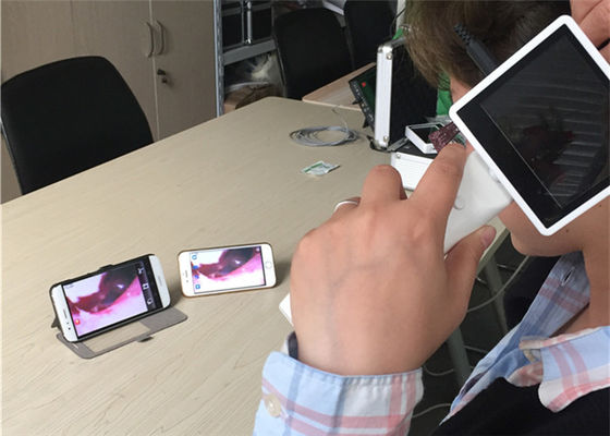 720X480 Ψηφιακό Ωτοσκόπιο